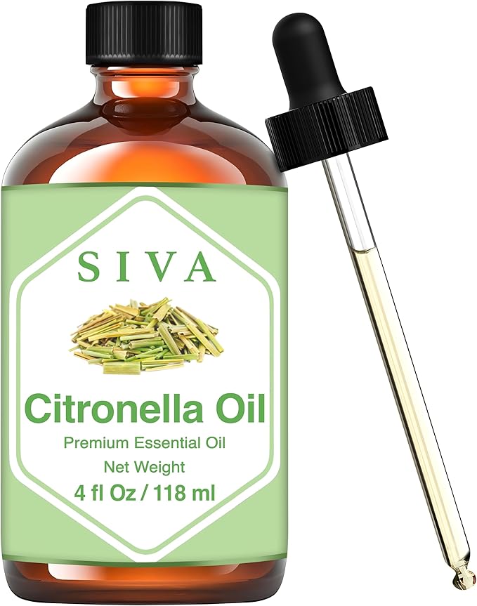 Velas y plantas de citronela utilizadas como método natural de protección efectiva contra mosquitos