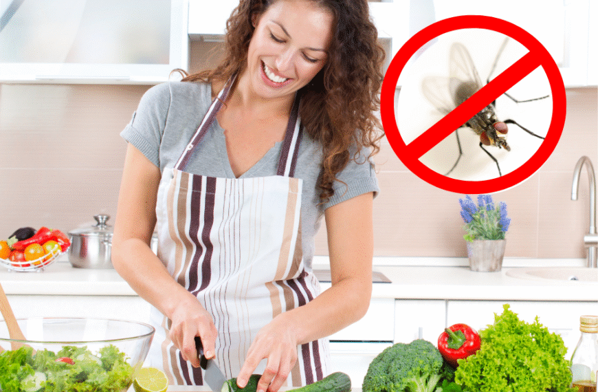  Moscas en la Cocina: ¿Por qué Aparecen y Cómo Eliminarlas Definitivamente?